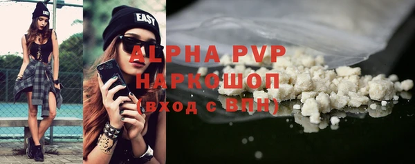 хмурый Алексин