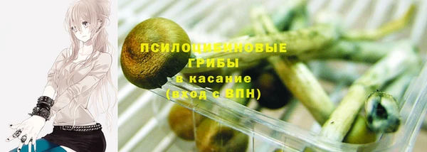 хмурый Алексин