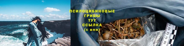 синтетический гашиш Алексеевка