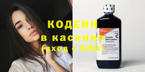 хмурый Алексин
