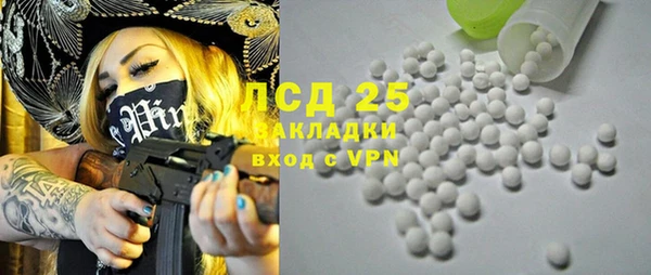 хмурый Алексин